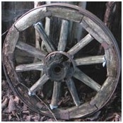 wheel pic2